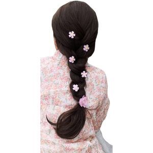 Mini Flower Hair Clips 11 PCS
